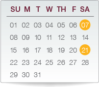 Once every two weeks infusion schedule chart