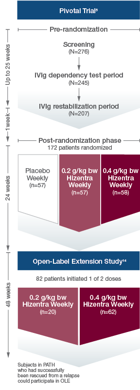 CIDP Pivotal Trial and Open-Label Extension Study Chart